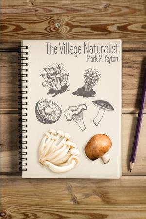 Cover of the book The Village Naturalist by Carolyn Godschild Miller, Ph.D.