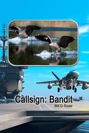 Cover of the book Callsign: Bandit by Adria Winsor
