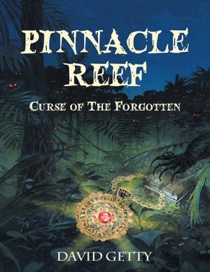 Cover of the book Pinnacle Reef: Curse of the Forgotten by David Thoreau