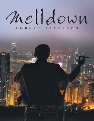 Cover of the book Meltdown by Michael Minnis, Kim Minnis