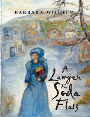 Cover of the book A Lawyer for Soda Flats by Cassandra Faye King