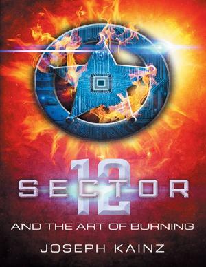 Cover of the book Sector 12 and the Art of Burning by Dekota L. Bostic