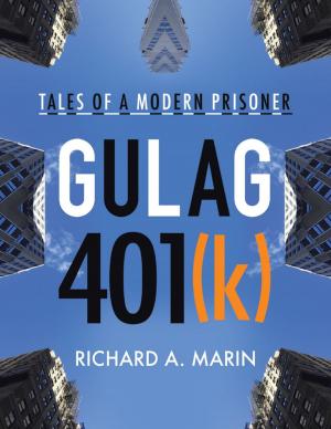 Book cover of Gulag 401(k): Tales of a Modern Prisoner