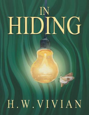Cover of the book In Hiding by Justin Boone, Ph.D.