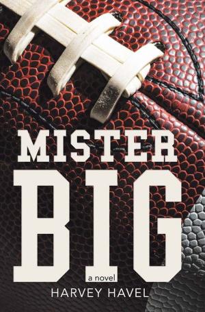 Book cover of Mister Big