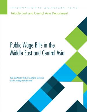 Cover of the book Public Wage Bills in the Middle East and Central Asia by Guillermo Mr. Calvo, Eduardo Mr. Borensztein, Paul Mr. Masson, Manmohan Mr. Kumar