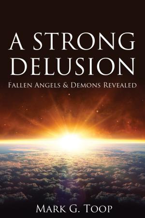 Cover of the book A Strong Delusion by M. D. Meyer