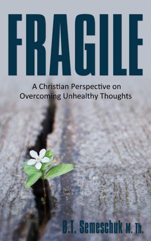 Cover of the book Fragile by Donna Jansen, Stephanie Milton