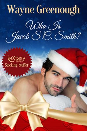 Cover of the book Who Is Jacob S.C. Smith? by Stefan Angelina McElvain