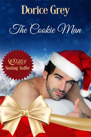 Cover of the book The Cookie Man by Fawn Lowery