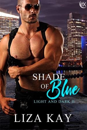 bigCover of the book Shade of Blue by 