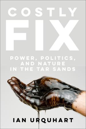 Cover of the book Costly Fix by 