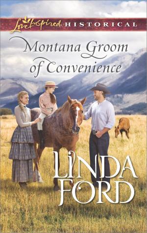 Book cover of Montana Groom of Convenience