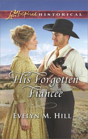 Cover of the book His Forgotten Fiancée by Laura Iding, Lucy Clark
