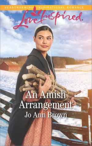 Cover of the book An Amish Arrangement by Abby Gaines