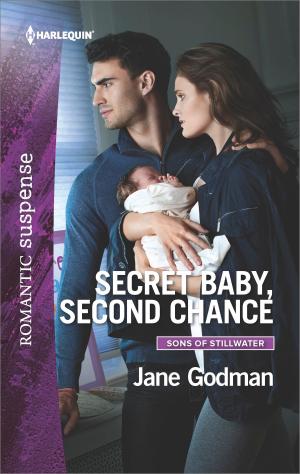 Book cover of Secret Baby, Second Chance