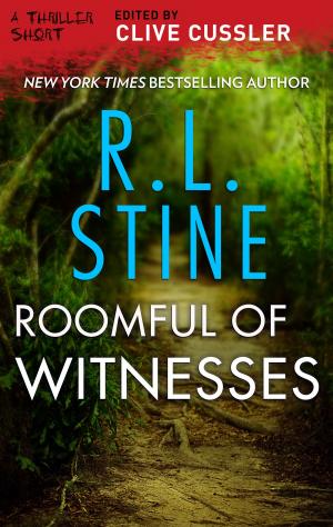 Cover of the book Roomful of Witnesses by Michelle Sagara