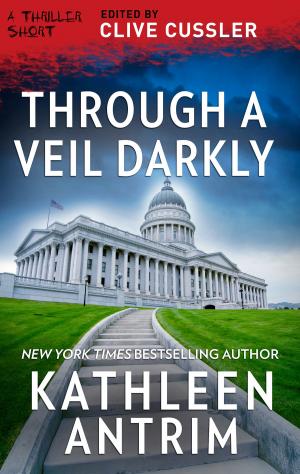 Cover of the book Through a Veil Darkly by Anne Stuart