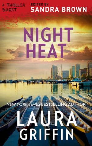 Cover of the book Night Heat by Lucas Sterlingtree