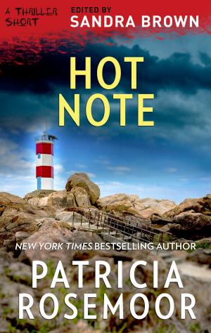 Cover of the book Hot Note by Laura Caldwell