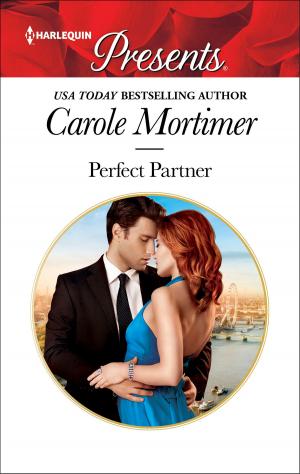 bigCover of the book Perfect Partner by 