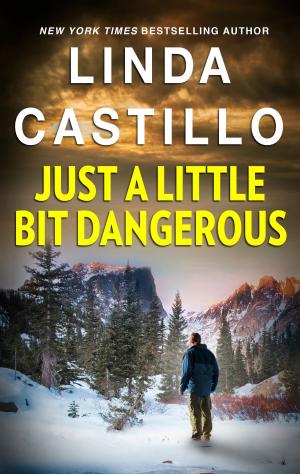 Cover of the book Just a Little Bit Dangerous by Brenda Minton