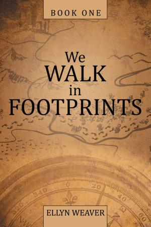 Book cover of We Walk in Footprints