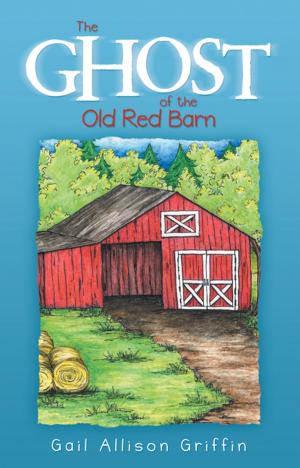 Book cover of The Ghost of the Old Red Barn