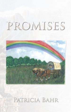 Cover of the book Promises by Annika Tetzner