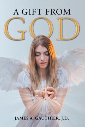 Book cover of A Gift from God