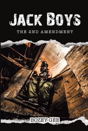 Book cover of Jack Boys