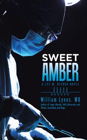Book cover of Sweet Amber