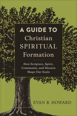 Cover of the book A Guide to Christian Spiritual Formation by Claire Robin