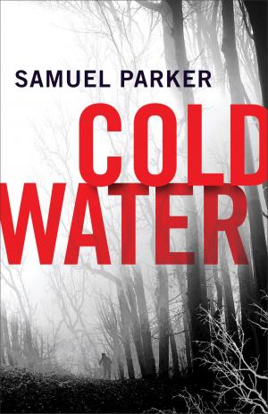 Cover of the book Coldwater by Mary Hunt