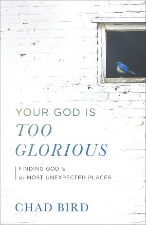 Cover of the book Your God Is Too Glorious by Shane Claiborne, Michael Martin