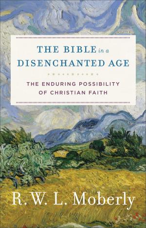 Cover of The Bible in a Disenchanted Age (Theological Explorations for the Church Catholic)