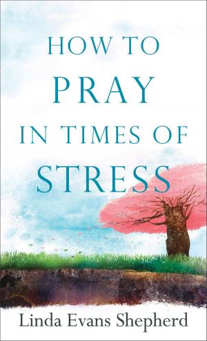 Cover of the book How to Pray in Times of Stress by Shilo Harris, Robin Overby Cox