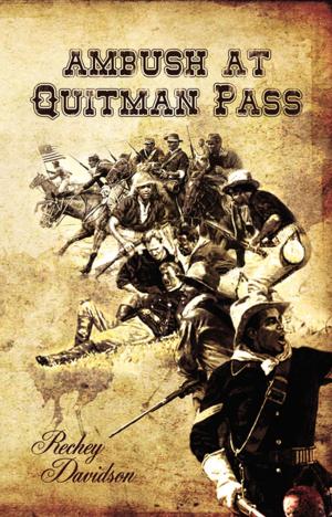 Cover of the book Ambush at Quitman Pass by Scott Haywood