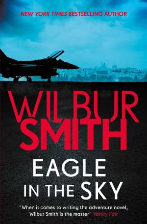 Book cover of Eagle in the Sky