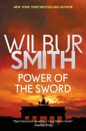 Cover of the book Power of the Sword by Wilbur Smith