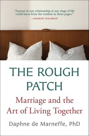 Book cover of The Rough Patch