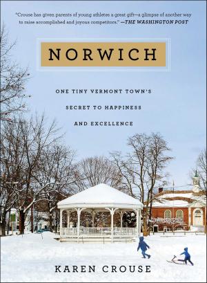 Cover of the book Norwich by Elizabeth Fremantle