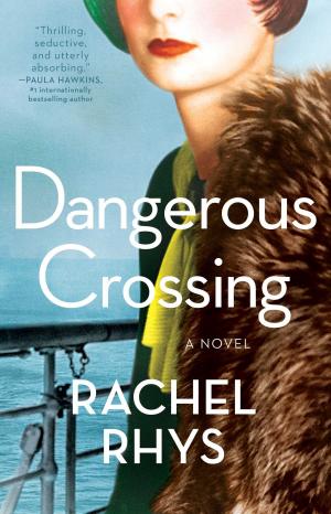 Cover of the book Dangerous Crossing by Laurie Lisle