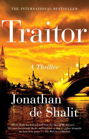 Cover of the book Traitor by Gillian Anderson, Jennifer Nadel