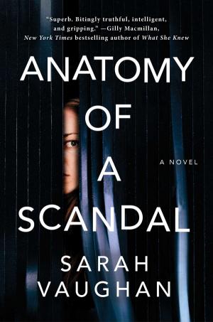 Cover of the book Anatomy of a Scandal by Lizzie Shane