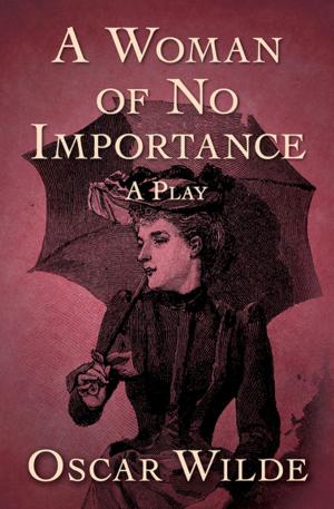 Cover of the book A Woman of No Importance by Nancy A. Collins