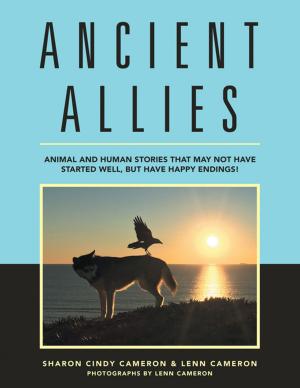 Book cover of Ancient Allies