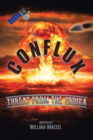 bigCover of the book Conflux by 