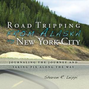 Cover of the book Road Tripping from Alaska to New York City by Michael Jewula