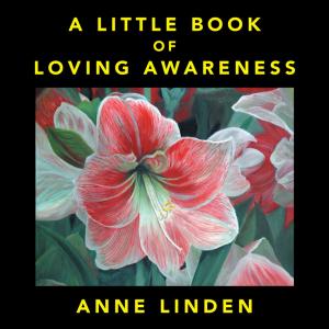 Cover of the book A Little Book of Loving Awareness by Jean Armour